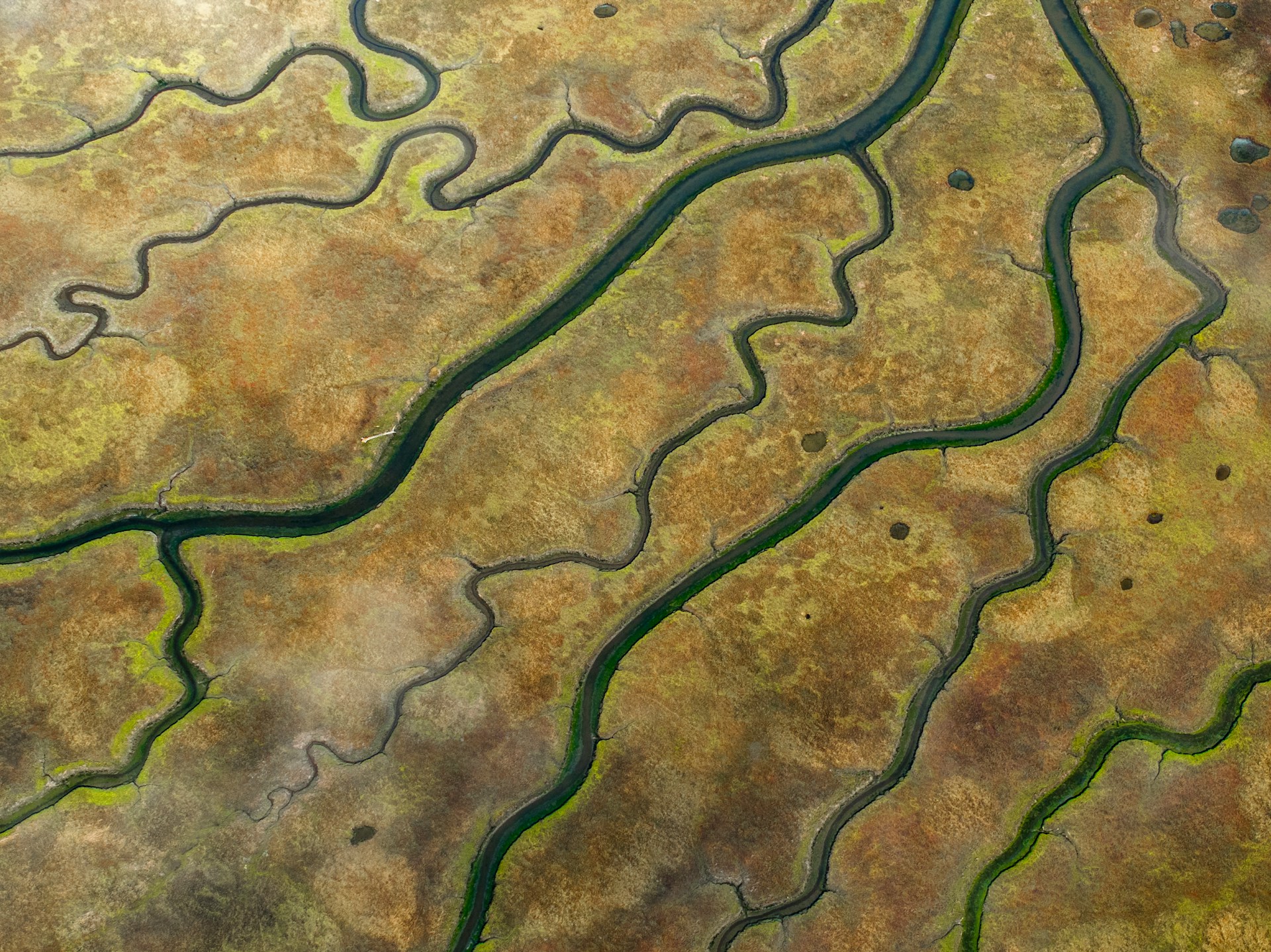 Orchestrating Streams: Episode 1 — Producing Data from Kestra to Kafka